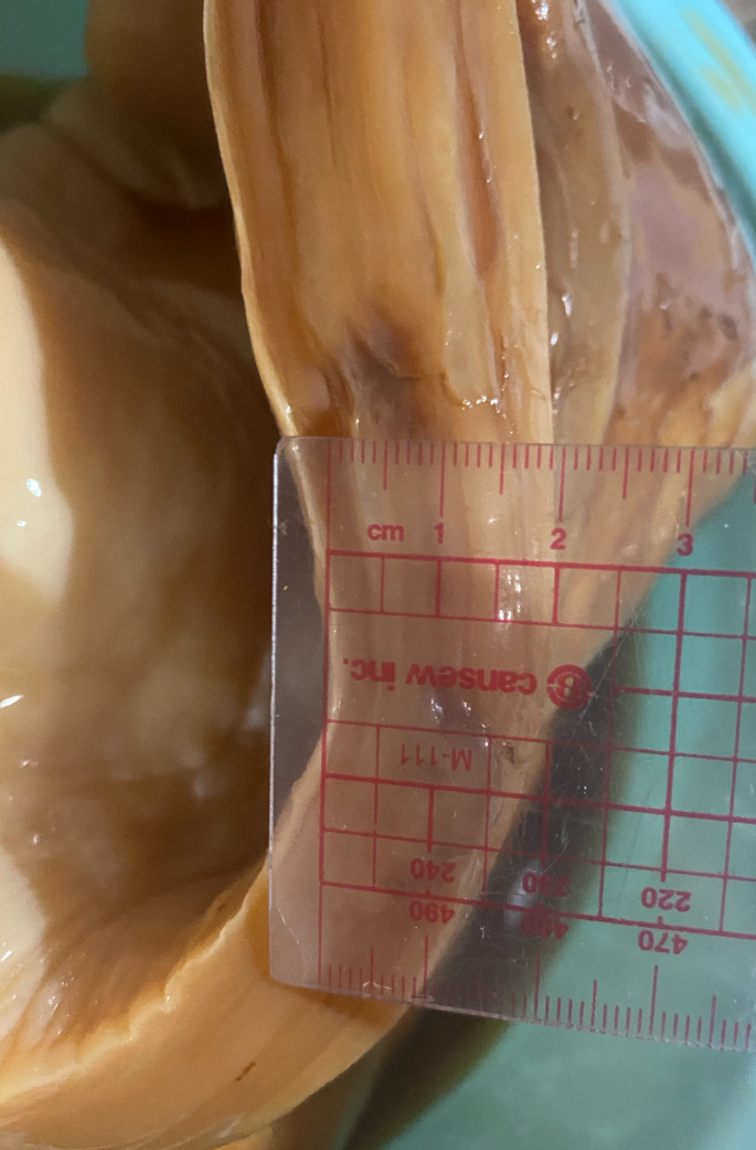 Scoby Wallet
